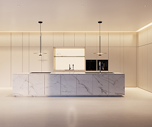 Kitchen_extra concpet